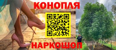 спиды Бузулук