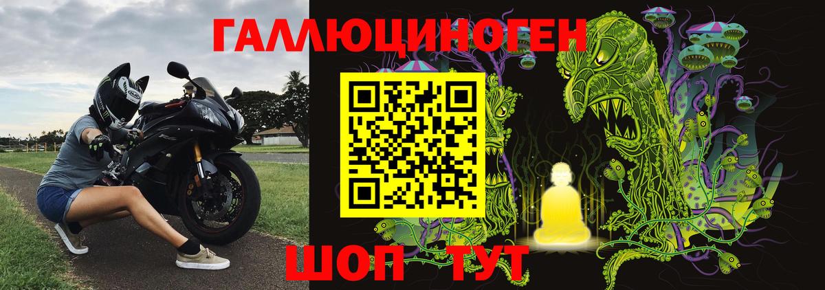 Галлюциногенные грибы Psilocybine cubensis Кудымкар